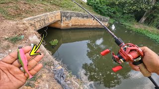 Download lagu UMPAN PADU Casting Haruan Tepi Highway!! mp3