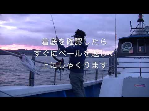 【動画あり】釣れる一つテンヤの誘い方！基本動作から応用テクニックまで紹介 | 釣りろん