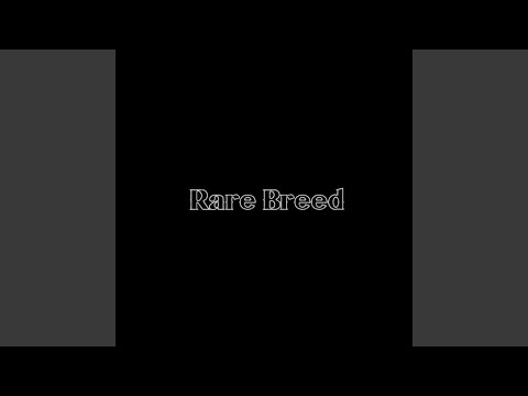 Video 5