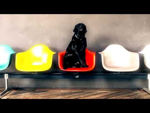 Der erste Gästefilm von Annas Scheune - Das Ferienhaus im Schwarzwald