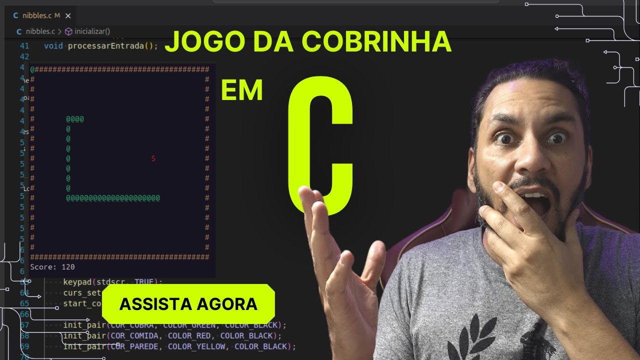 Jogo da Cobrinha (Nibbles) em C PURO no TERMINAL
