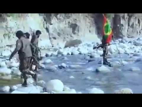 WBO koo hin danda'u garaan koo osoo dhangala'u dhiiyni lammii koo Lalisee Girmaa