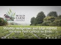 Shrubby Hedgerows And Edge Habitat Increase Pest Control By Birds