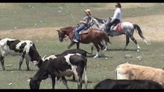 preview picture of video '3senores  The Original Horseback riding Co. in San Miguel de Allende.  part 2'