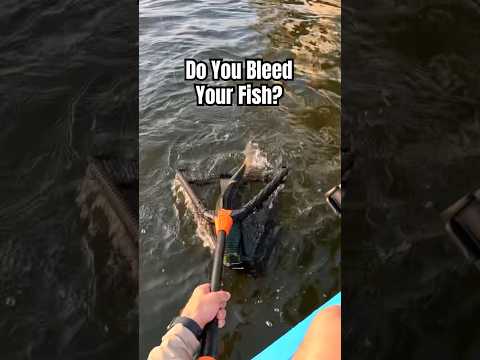 Do THIS For Better Tasting FISH! 10X BETTER!