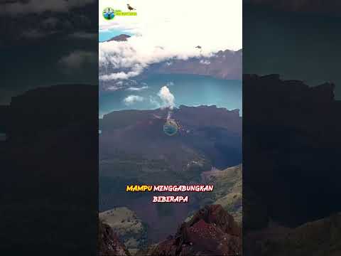 YouTube · Hobby Dan Alam Lestari — Siapa yang nggak jatuh cinta sama Pulau Lombok? Eksotis dan penuh pesona alam yang bi...
