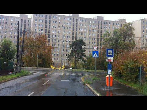 Budapest 143-as járat; Békásmegyer H - Pince köz - Békásmegyer H