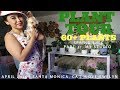 Studio Plant Tour Santa Monica Collection Part 3 60 Plants April 2019 ILOVEJEWELYN