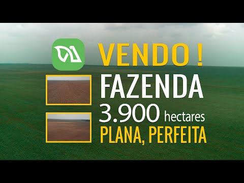 Fazenda à venda - 3.900 hectares - Marcelândia, Mato Grosso. Plana,Perfeita!! Whatsapp (66)992182117