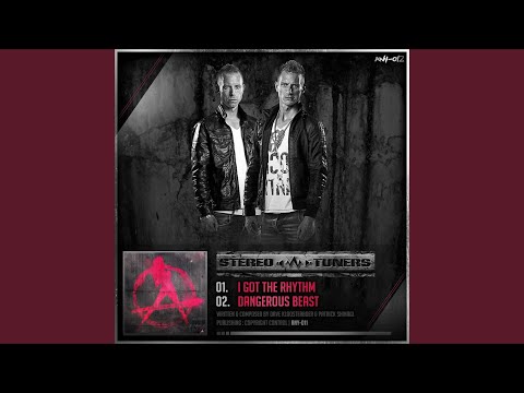 I Got The Rhythm (Original)