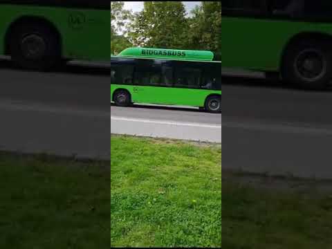 Bus in Uppsala