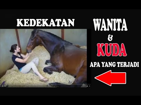 Pelaut dan impotensi Potensi orgazeks untuk pria
