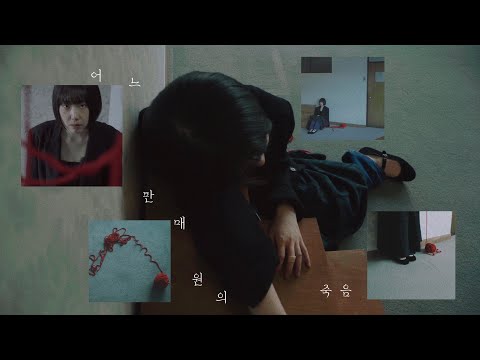 비디오 5