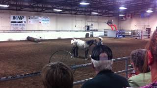 Rocking Heart Ranch Colt Starting Challenge 1 of 5