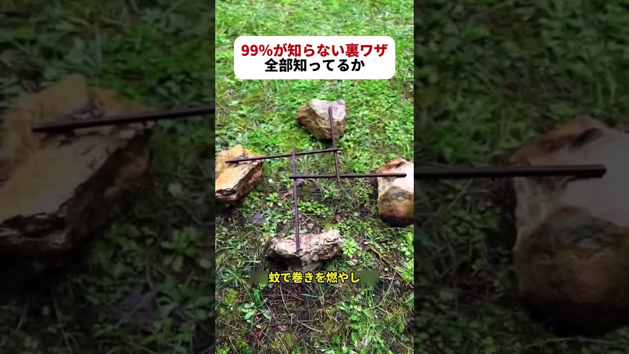 99％が知らない裏ワザ！ 全部知ってるか！  #生活の知恵 #DIYテクニック #アウトドア #裏ワザ集 #便利アイデア