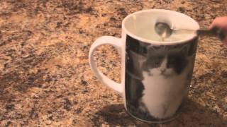 [ 13 décembre ] : Biscuits au chocolat dans une tasse