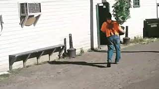 redneck carries marijuana plant through downtown vernonai