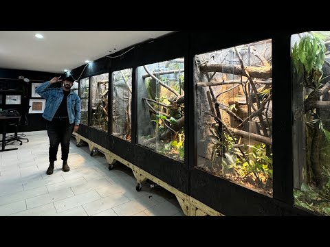 I built these home for my Blue Tree Monitors in NYC