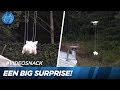 Een verrassing vanuit de lucht! ?? | UTOPIA