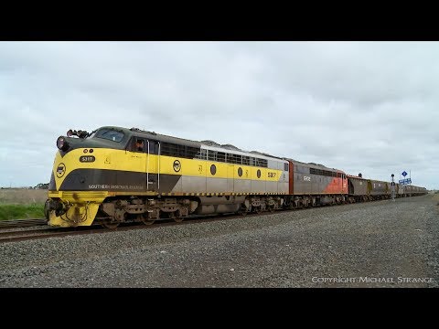 EMD Diesel Locomotives On SSR Manangatang To Kensington Grain Train (2/8/2019) - PoathTV Railways