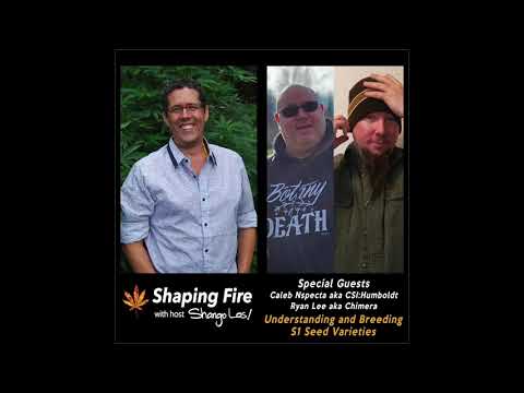 Shaping Fire Ep 92 - Understanding and Breeding S1 Seed Varieties with Caleb Nspecta and Ryan Lee