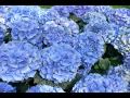 Kim Min Jong - Beautiful Pain 