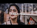 Pagla Pagli Slowed Reverb Bhojpuri Lofi S G Creation Shilpi