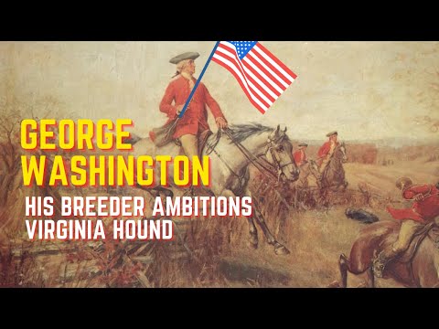HOW GEORGE WASINGTON'S BREEDER AMBITIONS LED To The BEGINNING Of The VIRGINIA HOUND Breed