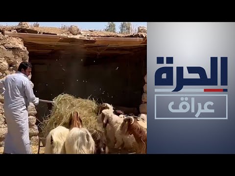 شاهد بالفيديو.. بعد إصابة شخصين في دهوك.. سلطات إقليم كردستان تتخذ إجراءات احترازية
