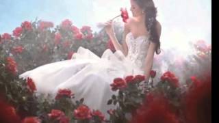 Everything but the girl -Rollercoaster