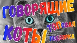 <p>Приколы с ГОВОРЯЩИМИ котами - Самая ТОПовая подборка!Друзья не забывайте подписываться на канал и ставить лайки !В этом видео я собрал самые лучшие моменты с говорящими котами ! Это супер смотрите до конца !Топовая Отборка самых