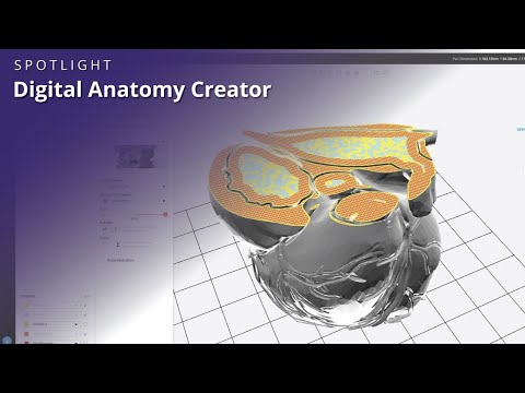 Digital Anatomy Creator | Purple Platypus