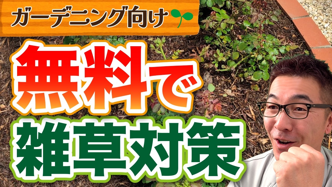 【雑草対策】今からやれば今年の草取りは不要です。