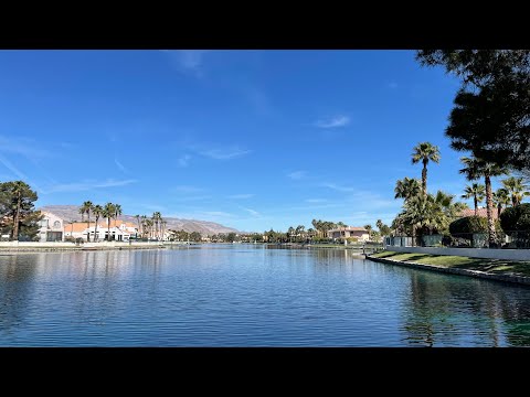 Lake View with Ducks and Relaxing Piano Music