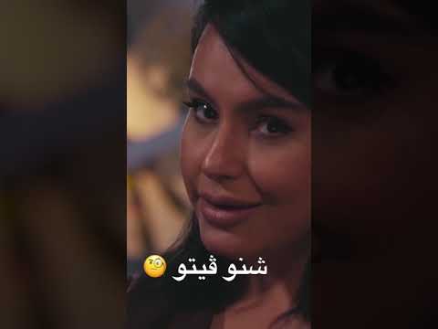 شنو يعني فيتو ؟
