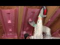 Insulation Installation Guide: ProCat® Dense Blow Insulation for Attics