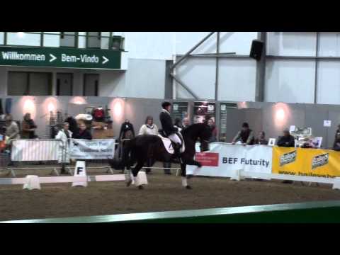 BBSH Stallion Event 2013 - Chippendale