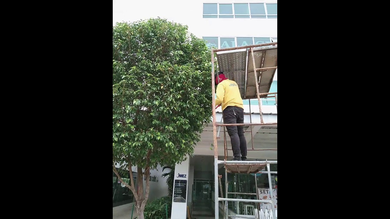 Paraan sa pag aalaga ng halaman😘😘😘