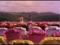Paatti Sollai Thattathey Vannathi Poochi Song
