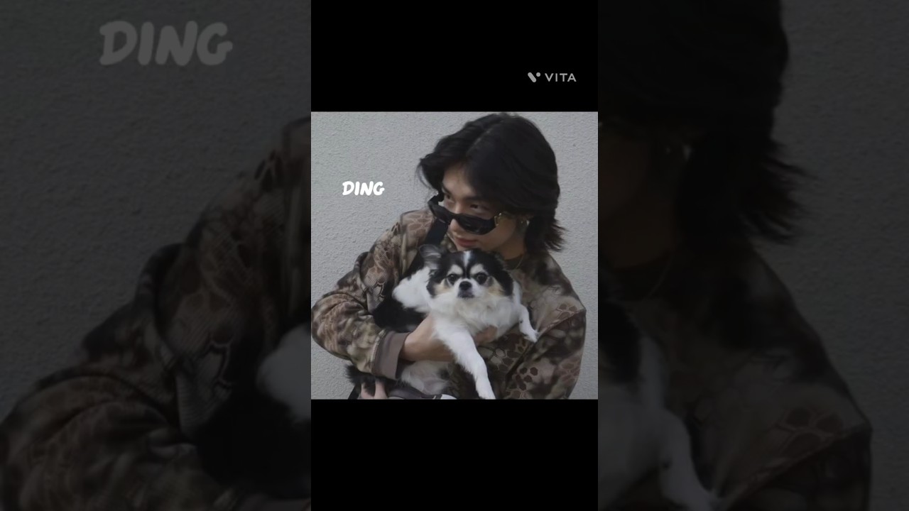 SORRY KKAMI BUT😭🙏 #straykids #hyunjin #kkami #fypage #fypシ゚ #viralvideo #viralshort #hwanghyunjinjin