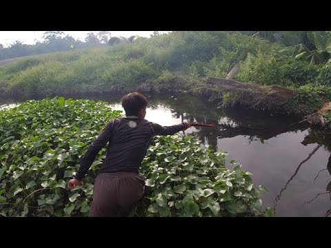 SE03EP023 - SOBRANG LINAW na ng LITTLE AMAZON RIVER ng San Pablo City, Laguna