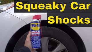 How To Fix Squeaky Car Shocks-EASY Repair For A Vehicle