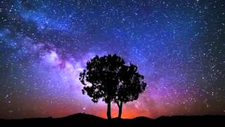 Dan Auerbach When the Night Comes HEY WARNER MUSIC GROUP