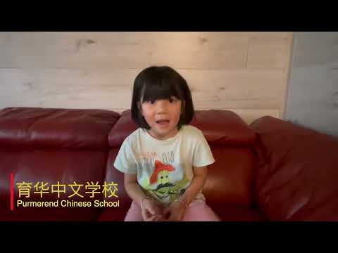 2022年荷兰华校庆祝中荷建交50周年汇演预告片