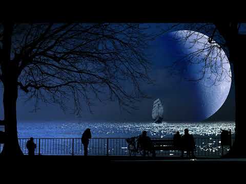 An Open Heart - Sam Shore, Beautiful Vocal Music with Guitar, Relaxing Music for Sleeping