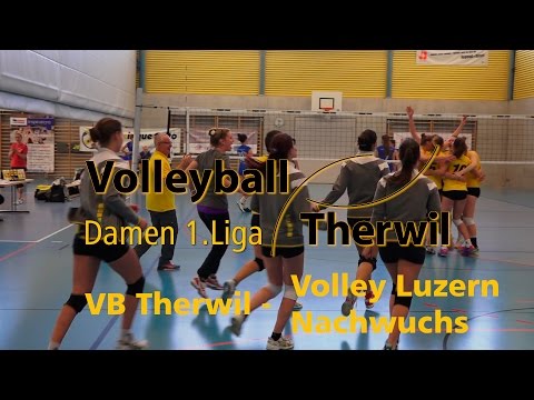 2014-11-01 VB Therwil 2 - Volley Luzern Nachwuchs