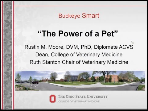 Power of a Pet Podcast