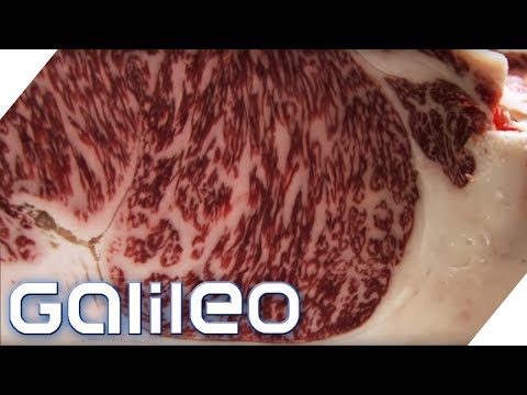 150 euros per portion: This is what the world's finest meat tastes like | Galileo | ProSieben