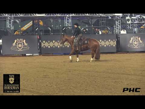 SARAH DAWSON SHINE SMARTER OWNED BY LINDA MARS THE AMERICAN PERFORMANCE HORSEMAN FENCE WORK 226.5