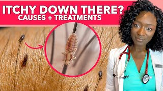Why Is Your Vagina Itchy? Causes & Treatments | STI, Herpes, Crabs, Ingrown Hair, Eczema, Soaps